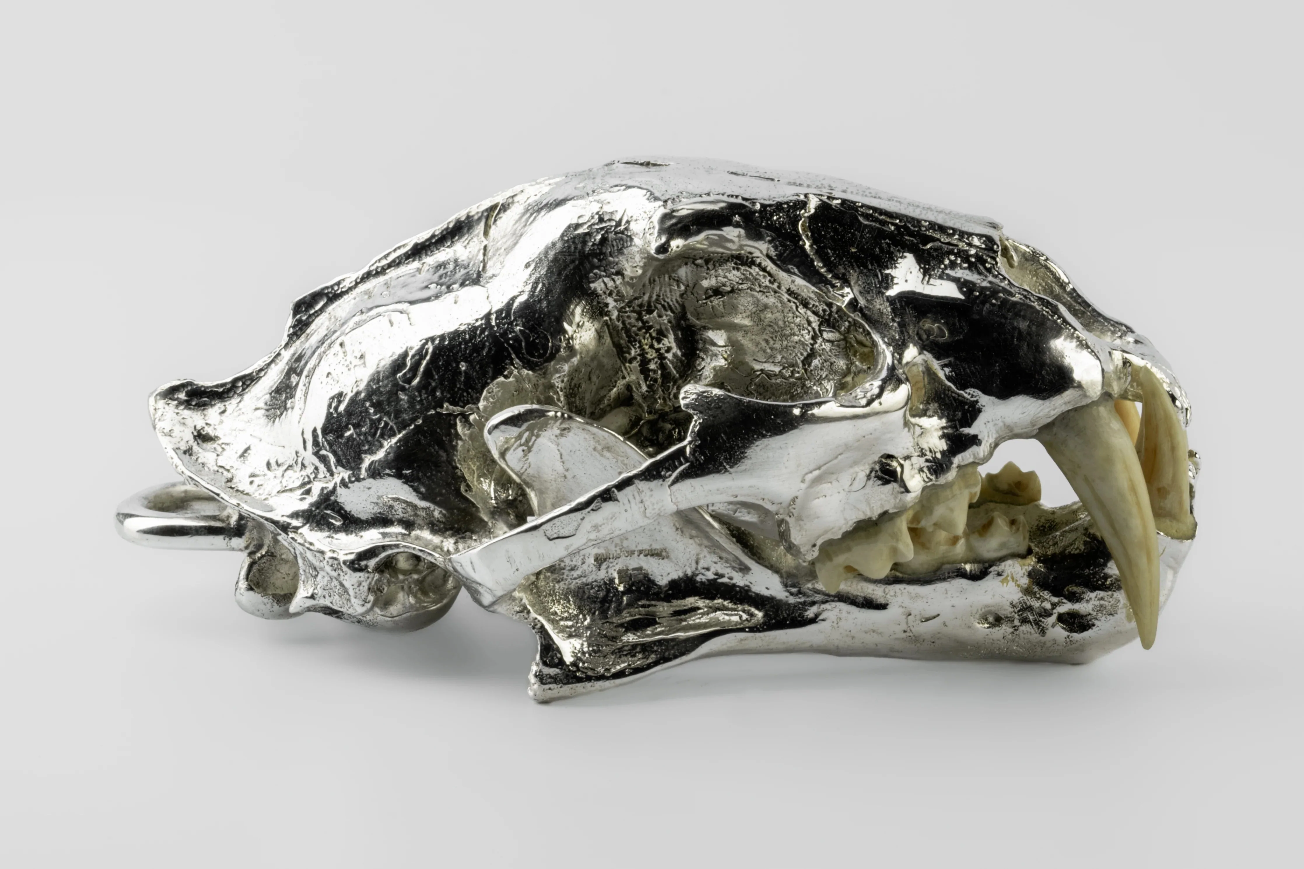 Leopard Skull (CR+MB) - Image 3